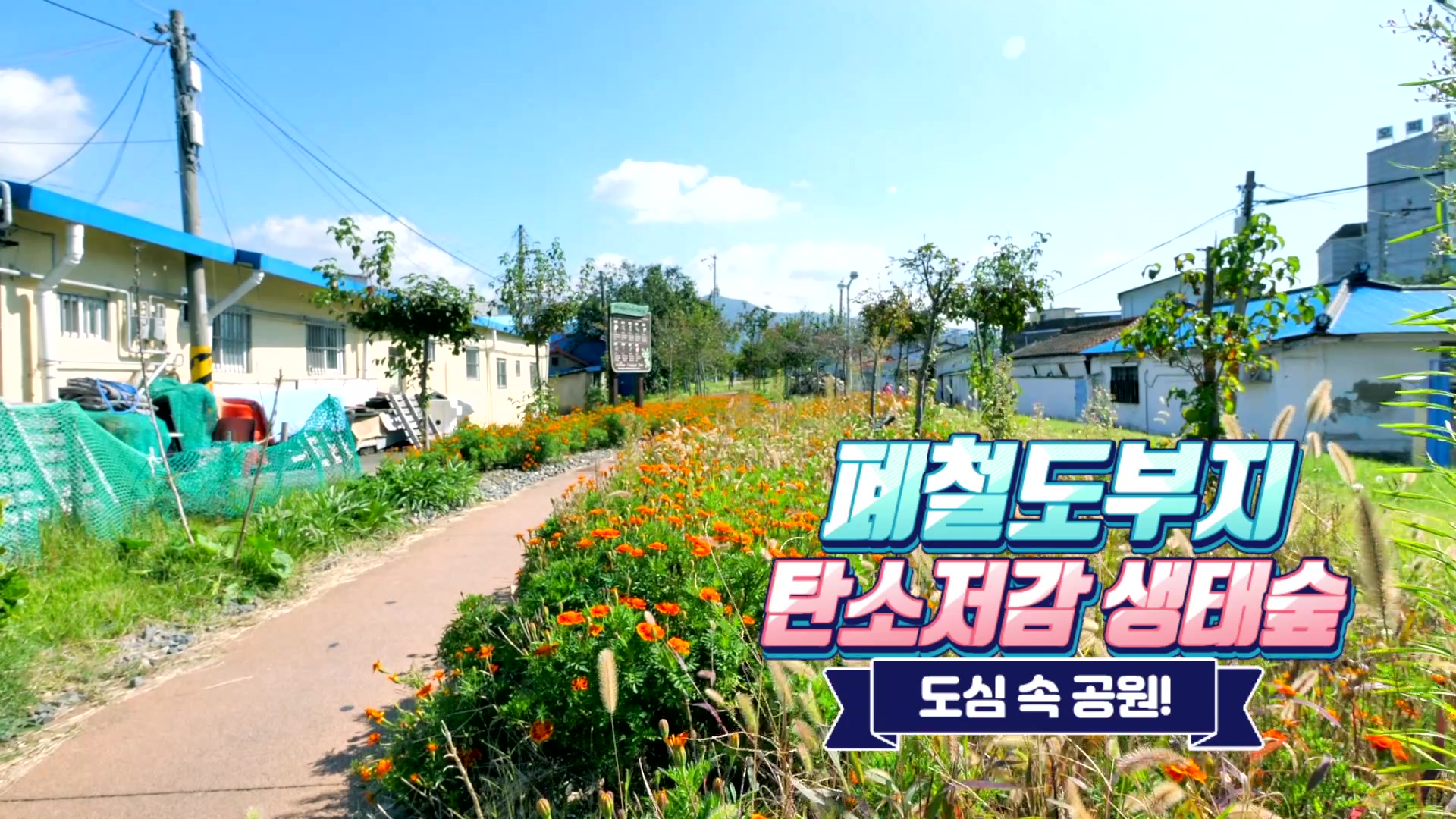 폐철도부지 탄소저감 생태숲